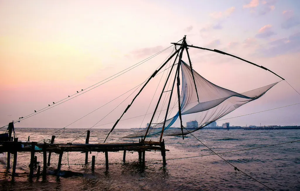 unsplash_33Z4FsBTiAY_kerala.webp