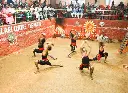 kadathanadan-kalari-centre4.webp
