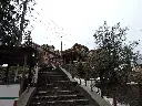 the-meadows-resorts-and (5).webp