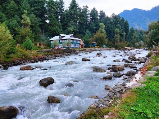 Fabulous Kashmir 6N7Ds
