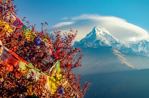 Nepal Explorer’s Trail: Kathmandu, Chitwan & Pokhara Circuit 6N/7Ds