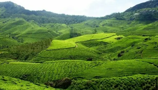 Lazy Kerala (7 days)