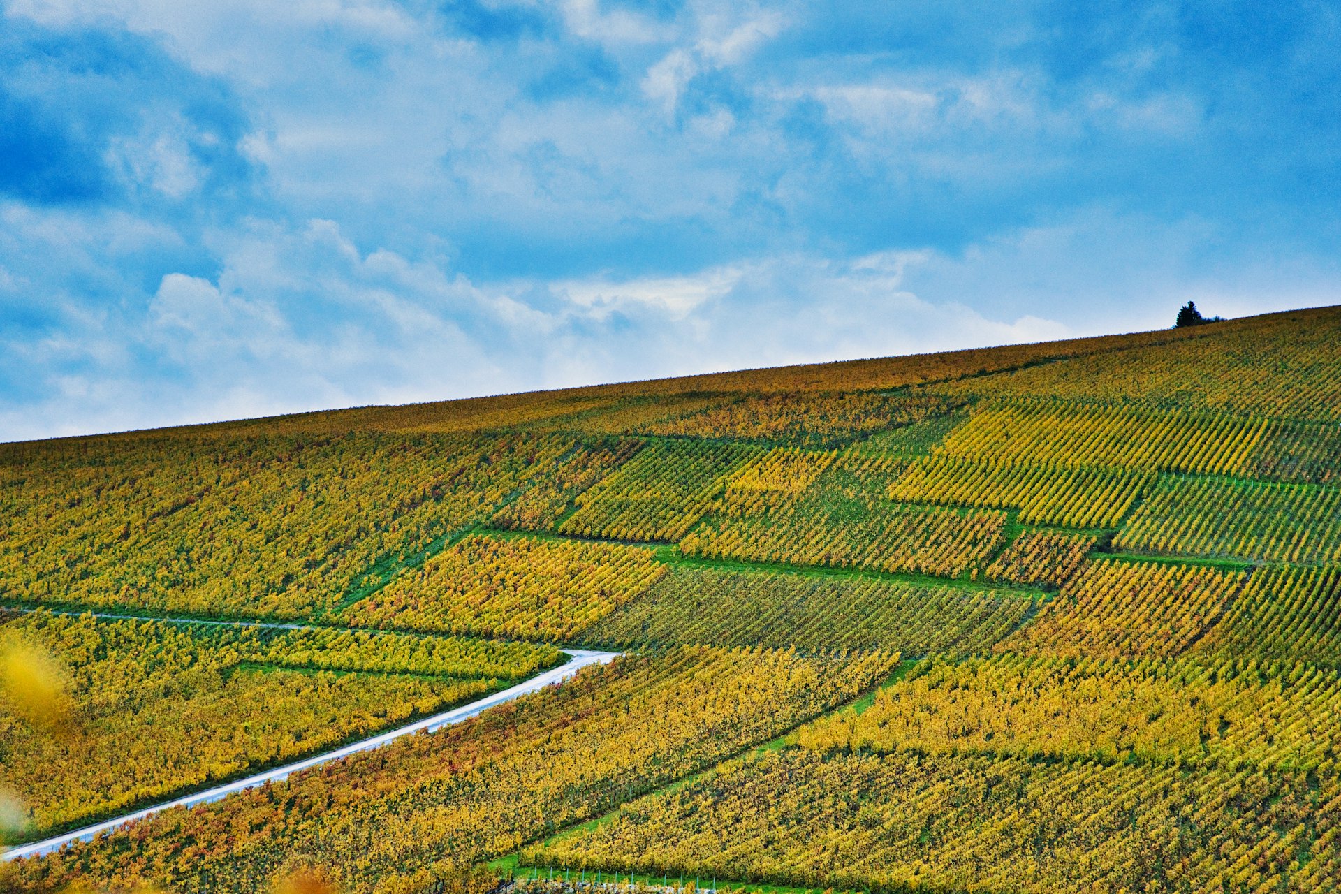 a grassy hill with a river running through it
