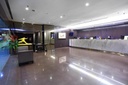 Hotel Thompson Singapore 2.jpg