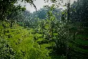 unsplash_-2WlTWZLnRc_bali.webp
