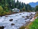 Fabulous Kashmir 6N7Ds